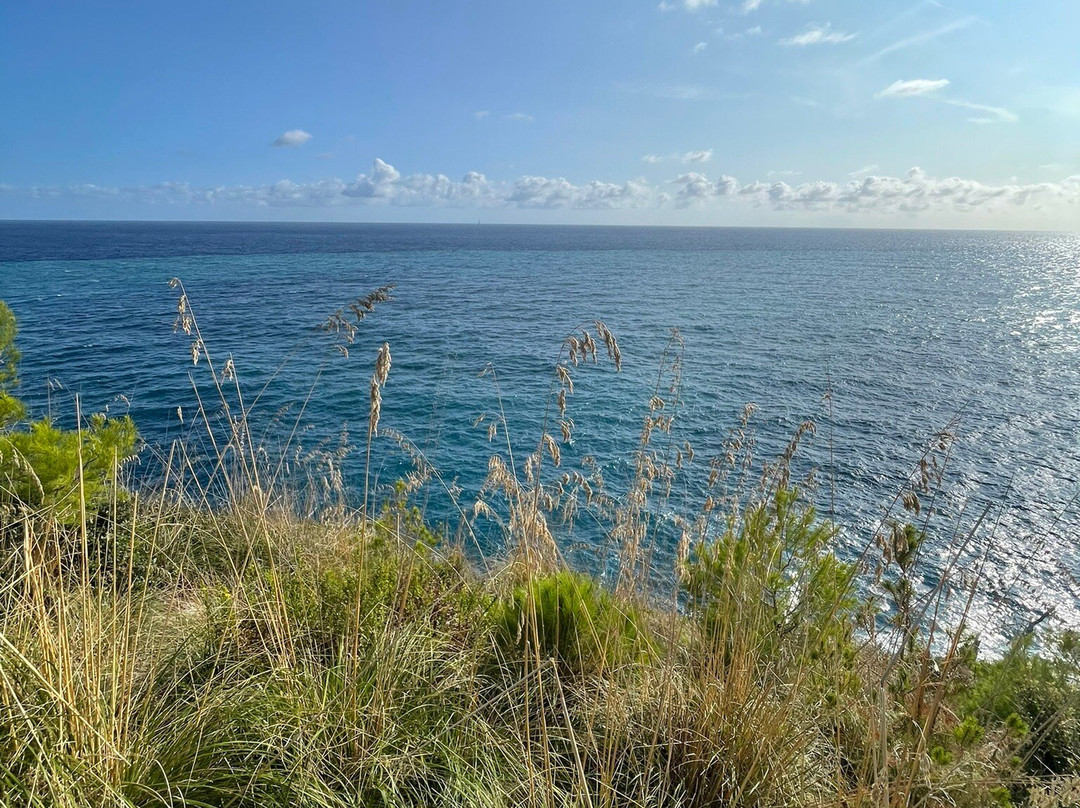 Faro Di Portofino-波托菲诺必去景点