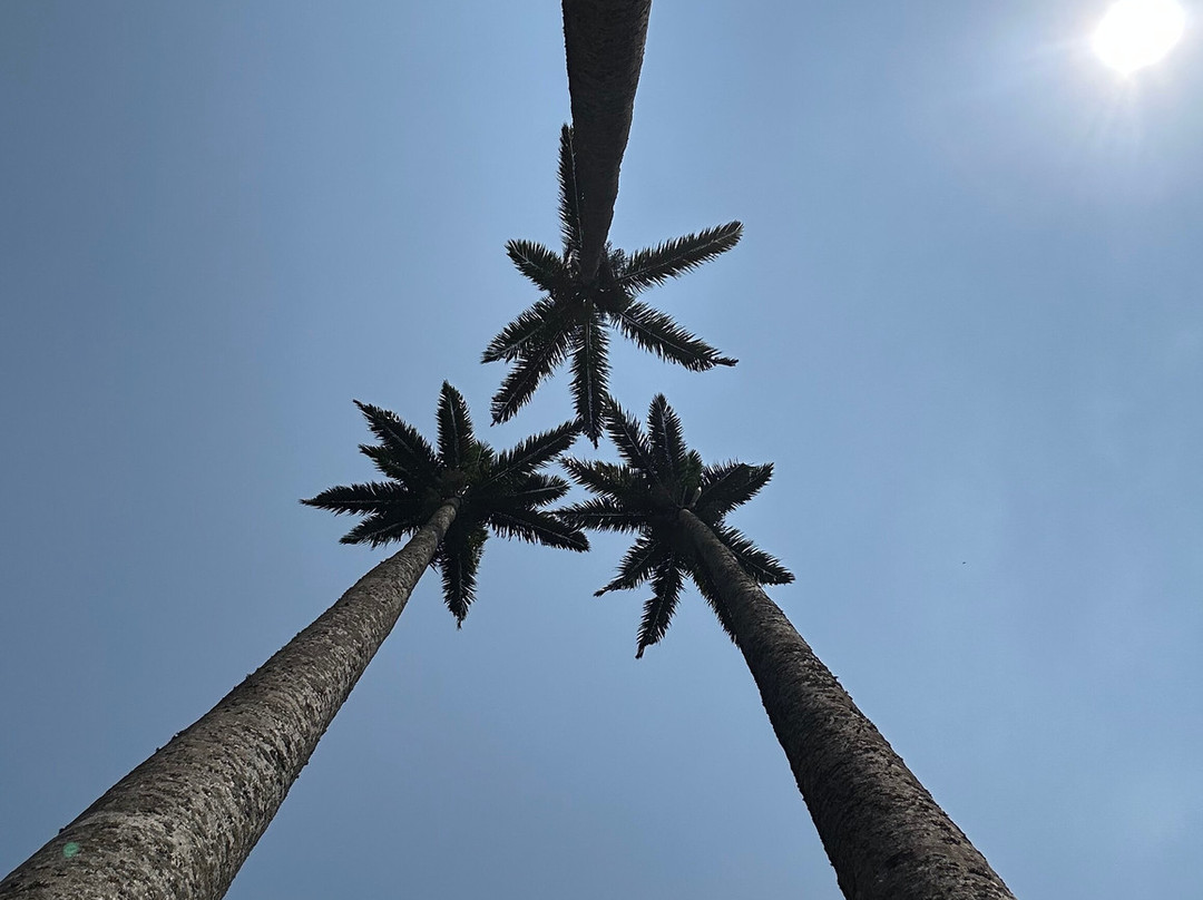 Jinja Bike Tours And Safaris-Buikwe必去景点