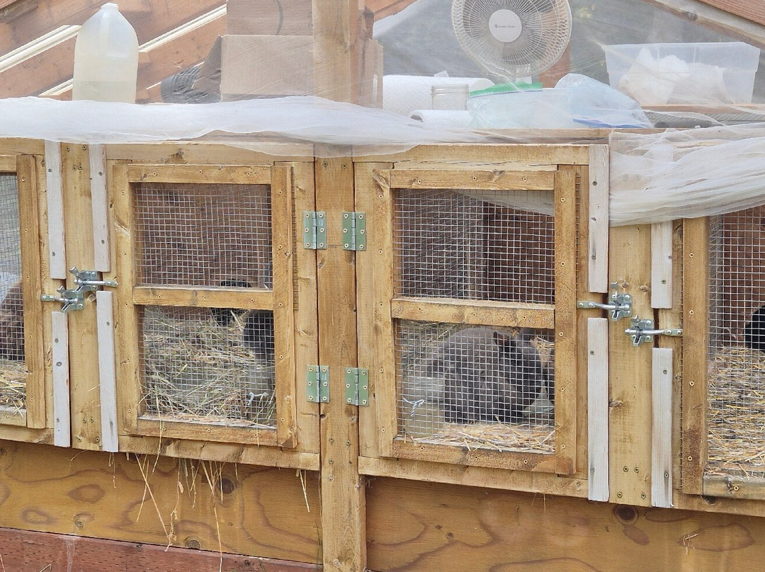 Antler's Rest Bed and Breakfast主图