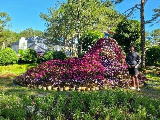 大叻情人谷-大勒必去景点