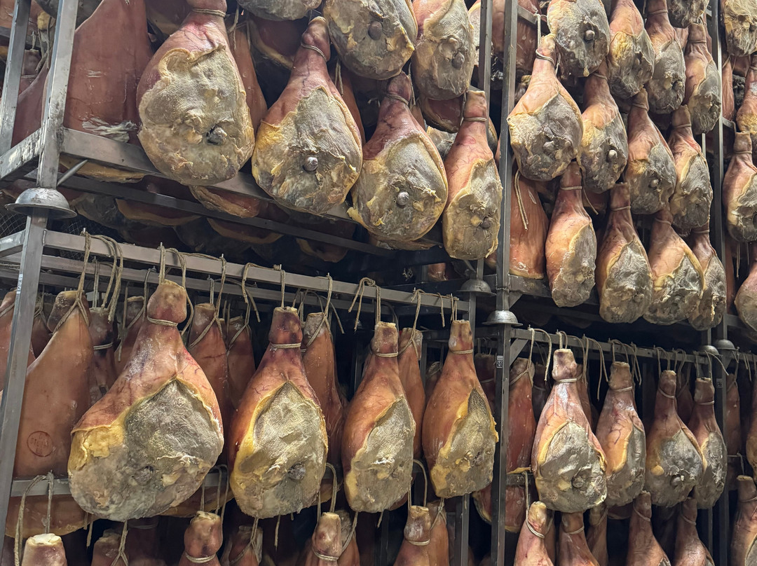 Emilia Delizia Food Tours-博洛尼亚必去景点