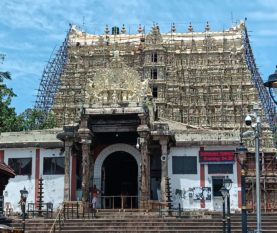 Sree Padmanabhaswamy Temple-提卢湾安塔普兰（特里凡德伦）必去景点