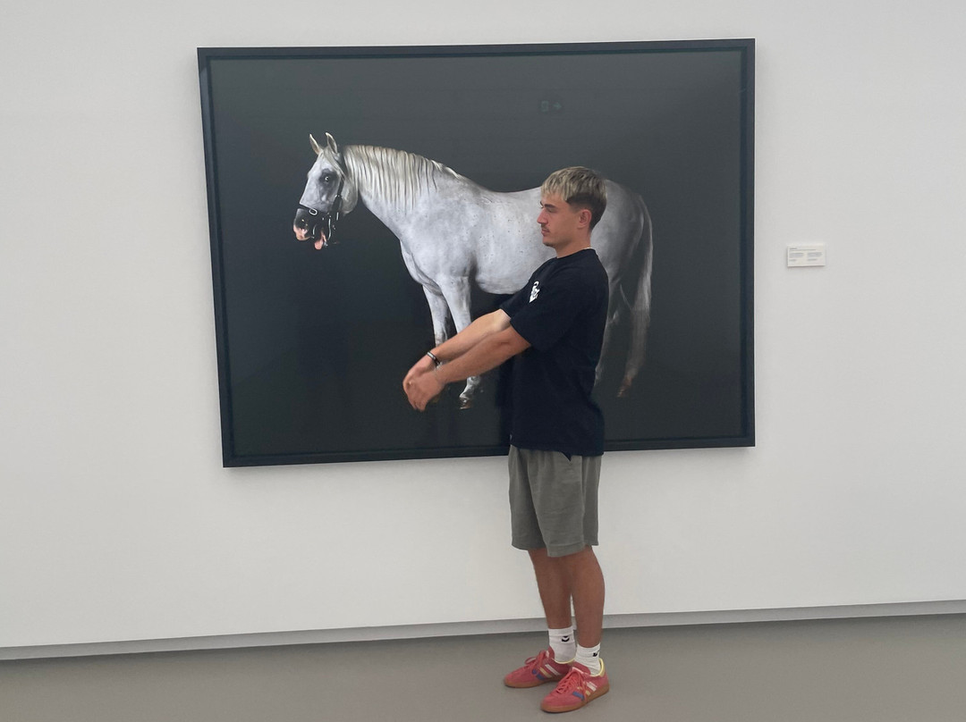 Muza, Slovenian Banking Museum And Art Gallery-卢布尔雅那必去景点