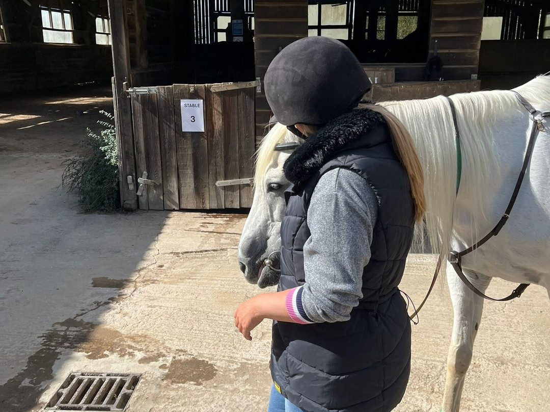 Polmartin Riding Equestrian Site-利斯卡德必去景点