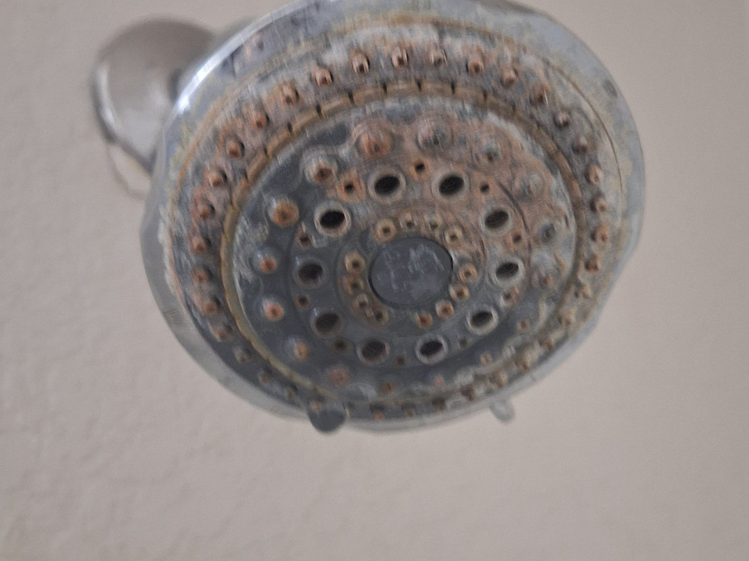 Super 8 by Wyndham Williams Lake BC主图