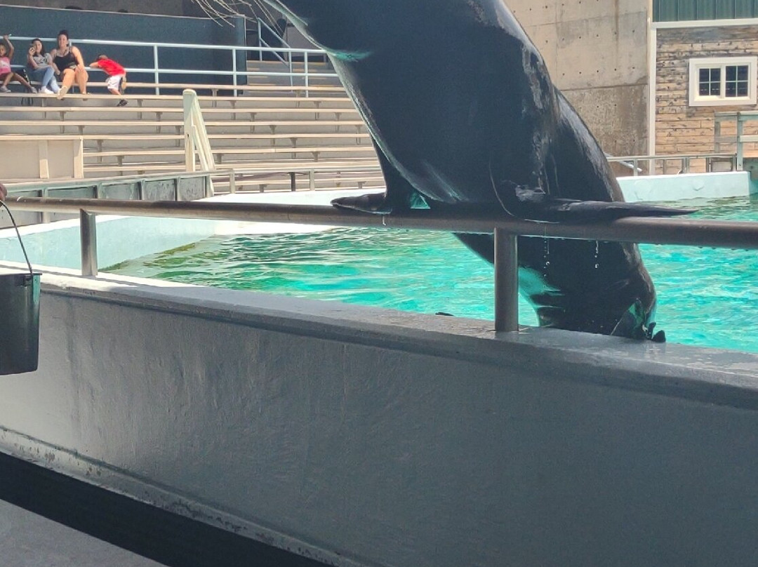 Tulsa Zoo-塔尔萨必去景点