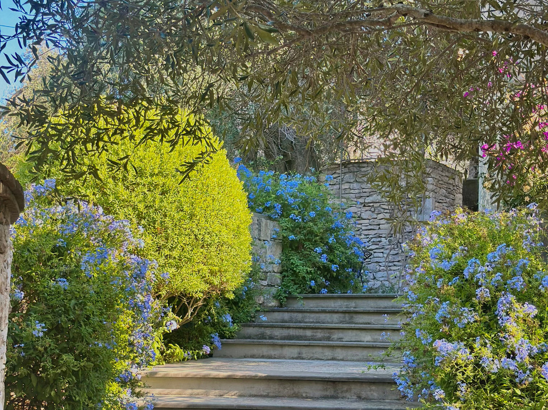 Torri e Merli Hotel主图