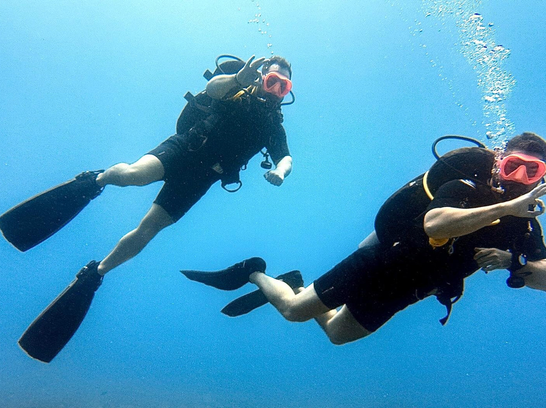 Rising Sun Dive Center-桑给巴尔岛必去景点