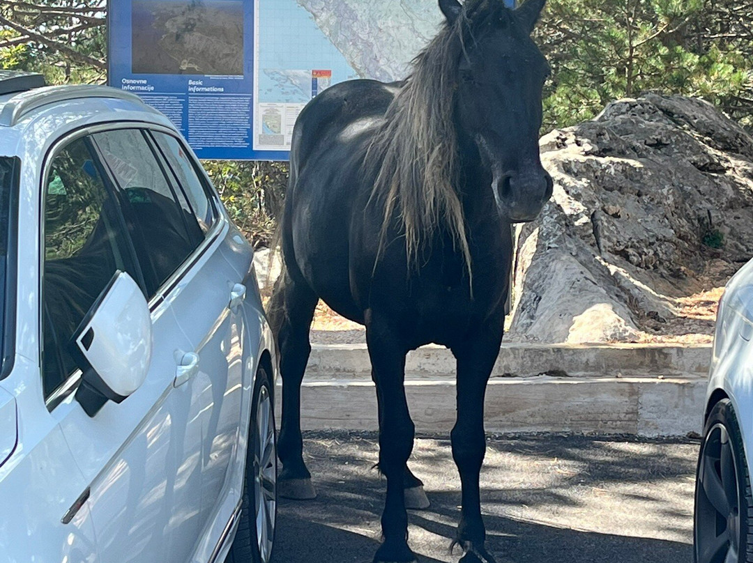 Nature Park Biokovo-玛卡沙必去景点