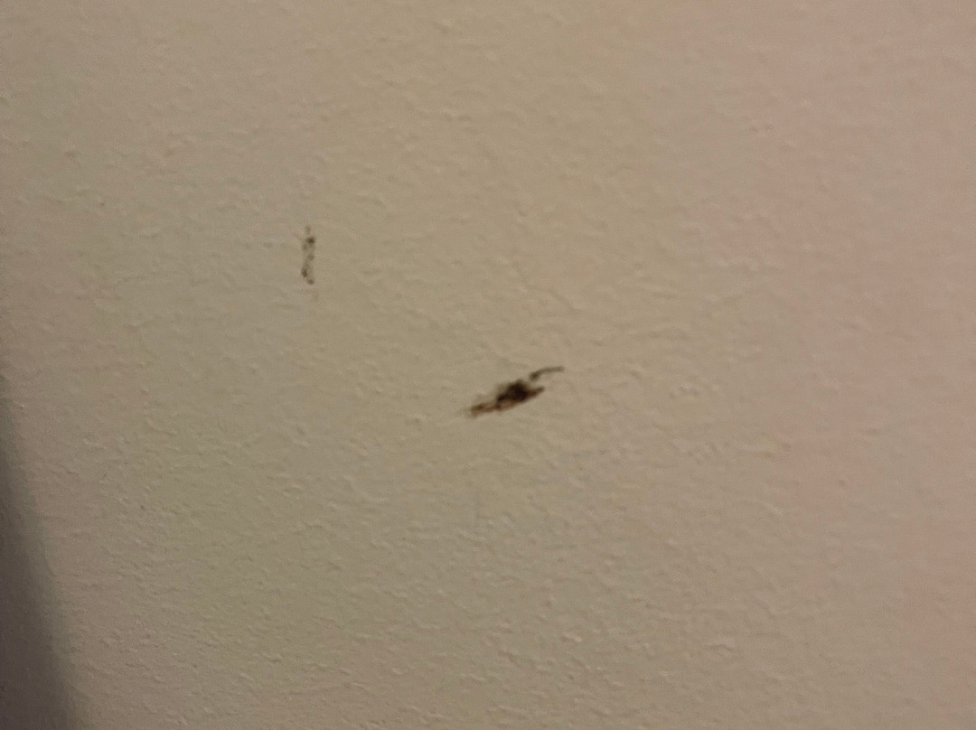 卡萨波卡希尼酒店主图