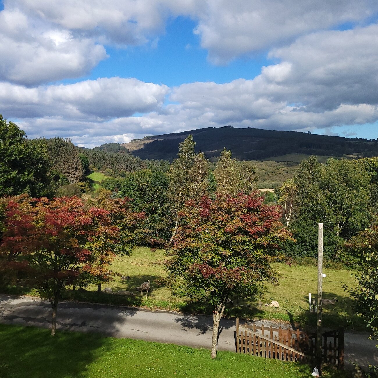 Wicklow Way Lodge-官方