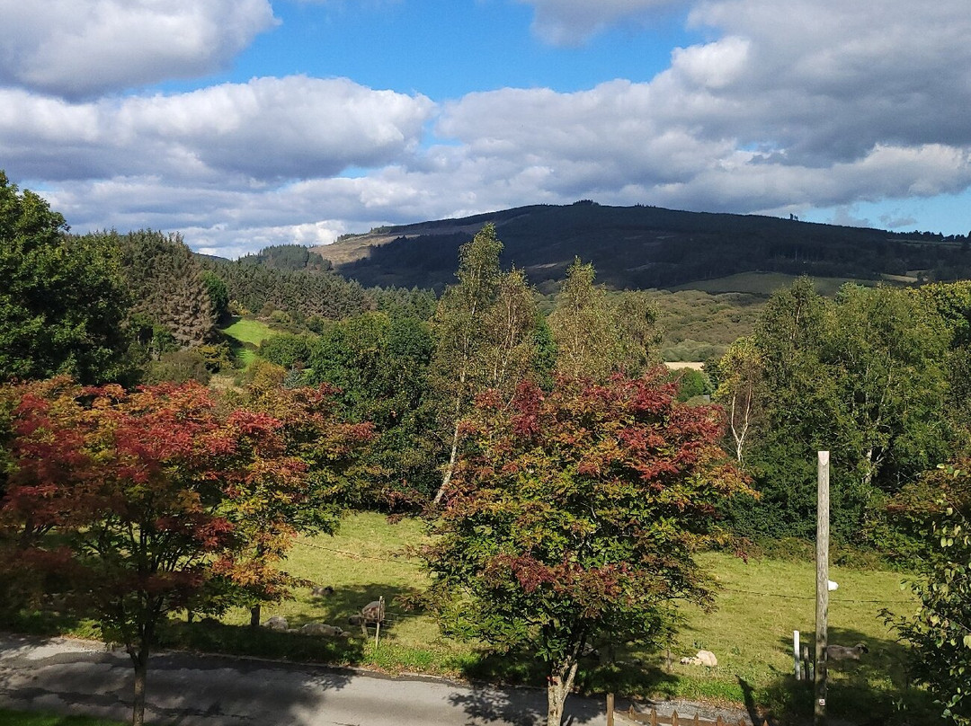 Wicklow Way Lodge主图