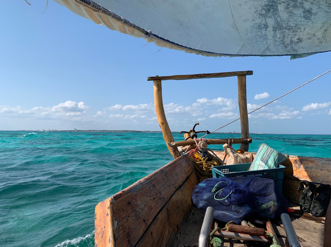 Karihe Zanzibar Tours-Matemwe必去景点
