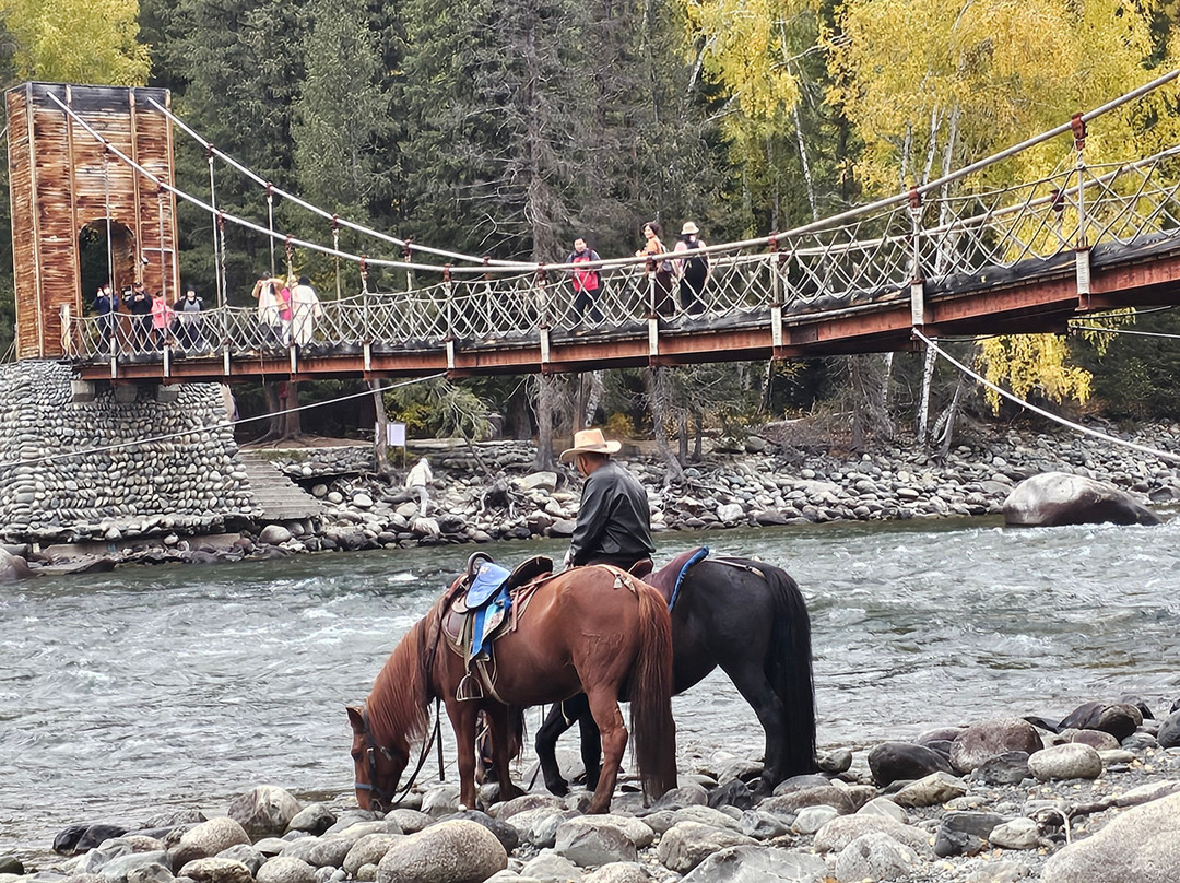 Silk Road Travel-乌鲁木齐市必去景点