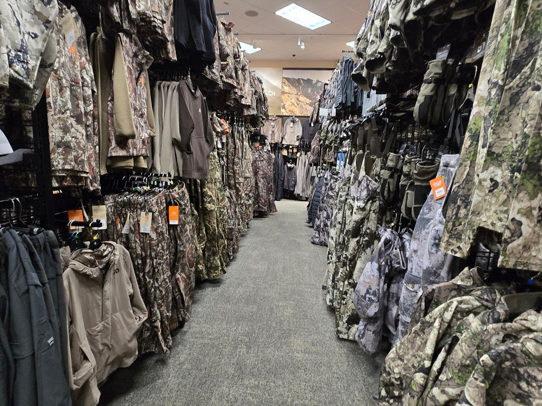 Scheels-比灵斯必去景点