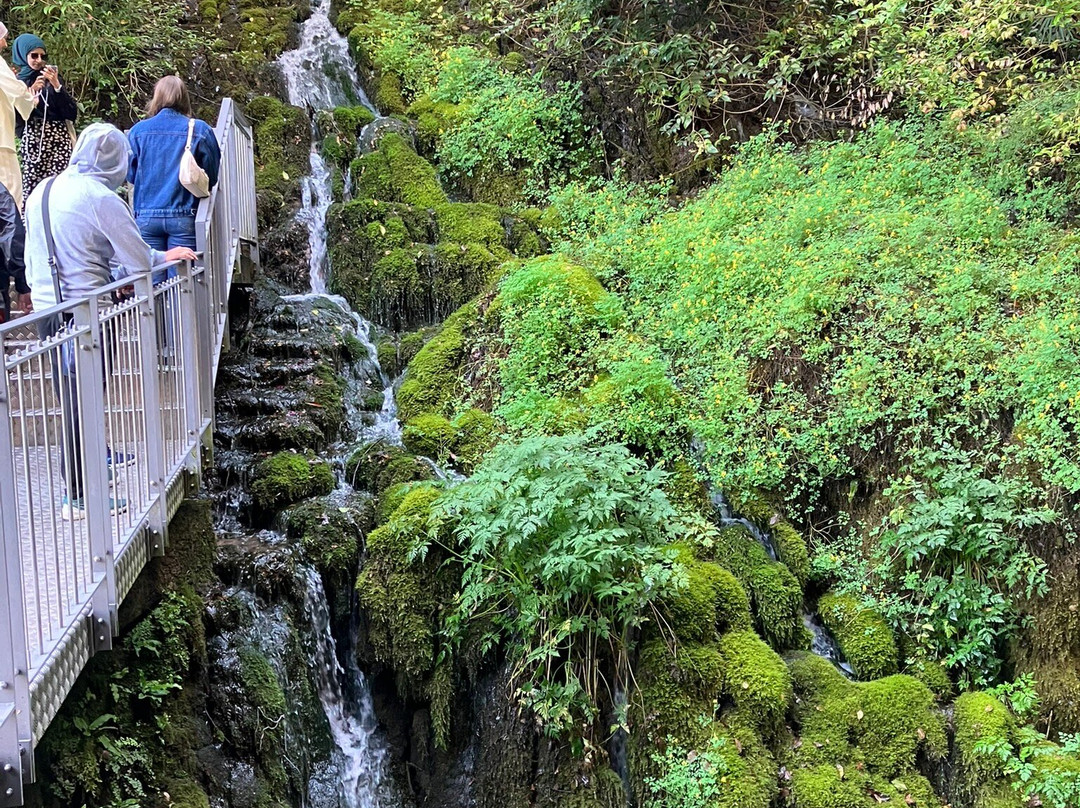 Cascate del Varone-Tenno必去景点