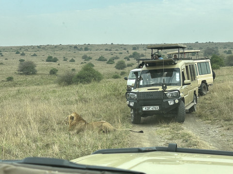 Crowned Eagle Safaris Limited-内罗毕必去景点