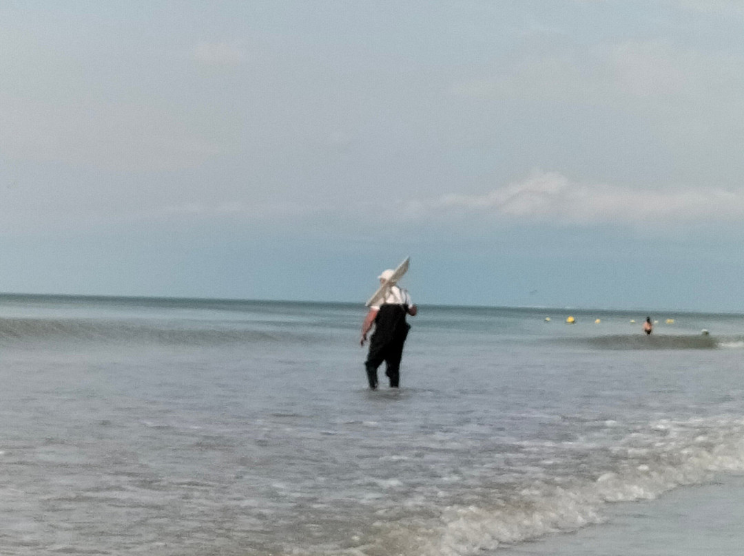 Plage De Tréport-勒特雷波尔必去景点