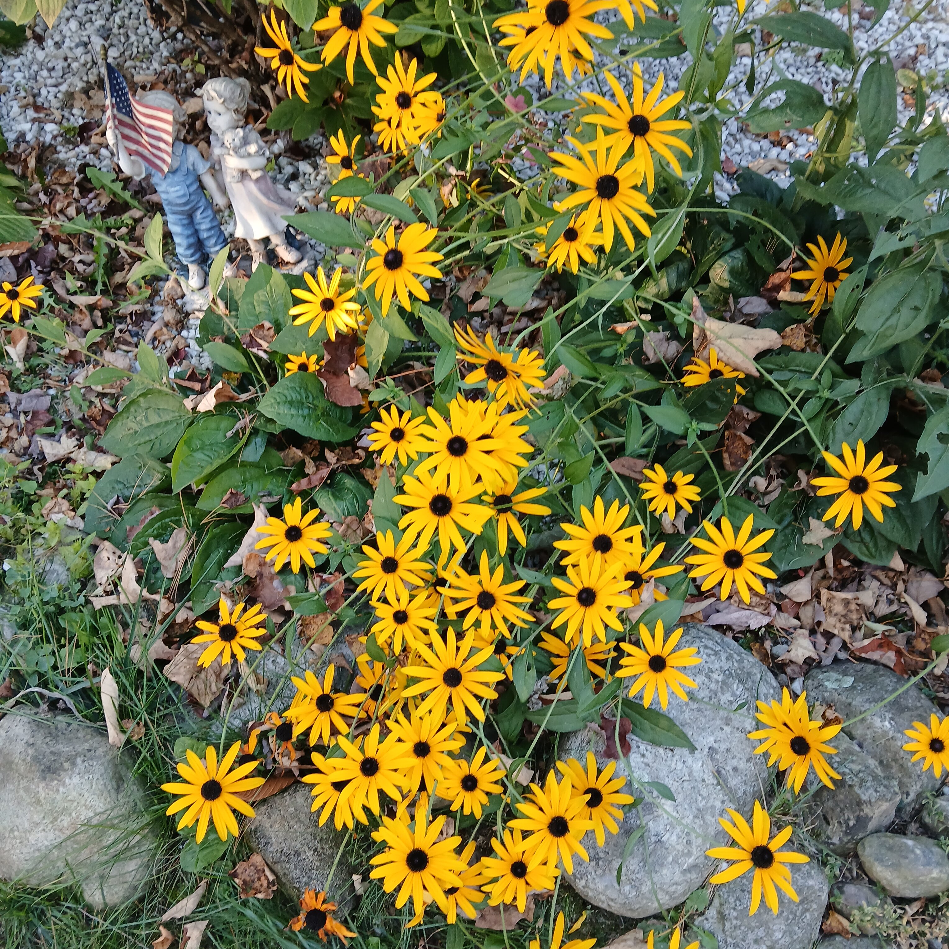 Fox Creek Inn-官方