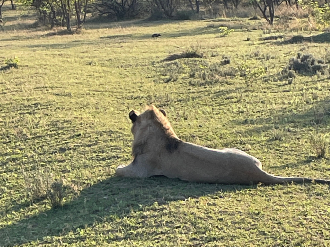 Dean Von Brughan Tours-杰米斯顿必去景点