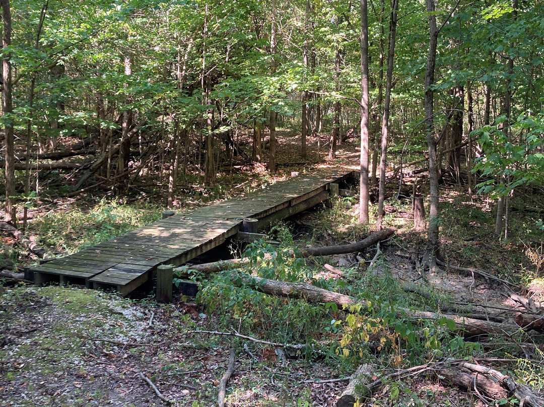 Bibler Nature Preserve-Portland必去景点