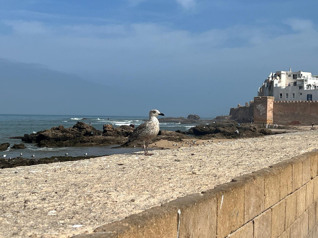 索维拉堡垒-索维拉必去景点