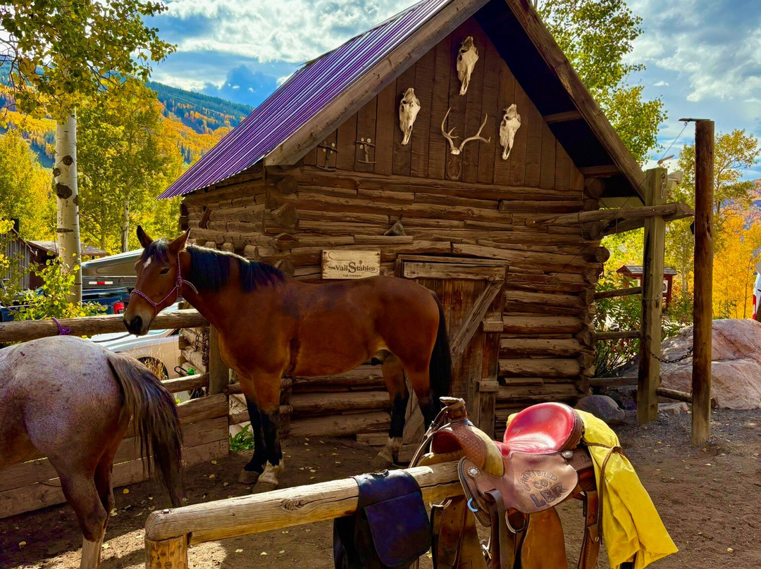 Vail Stables-韦尔必去景点