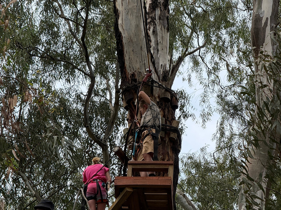 Acrobranch Garsfontein-Tierpoort必去景点