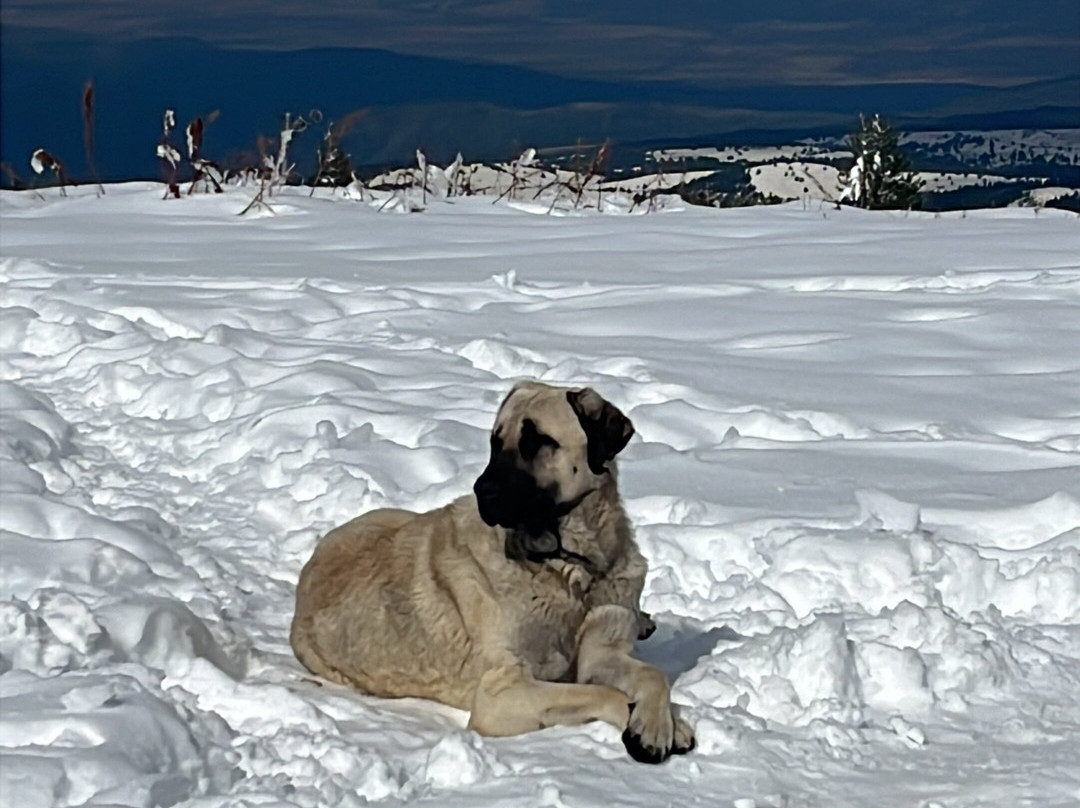 Seven Rila Lakes-索非亚必去景点
