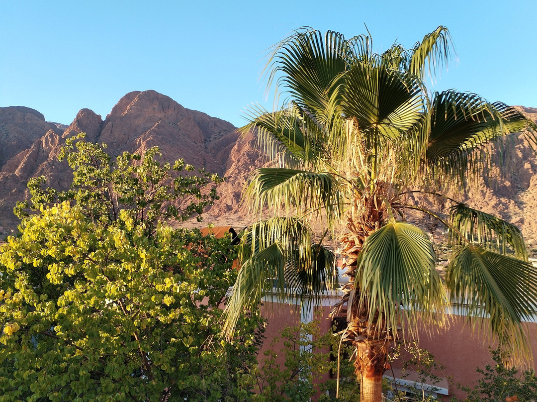 Hotel L'Arganier D'Ammelne主图