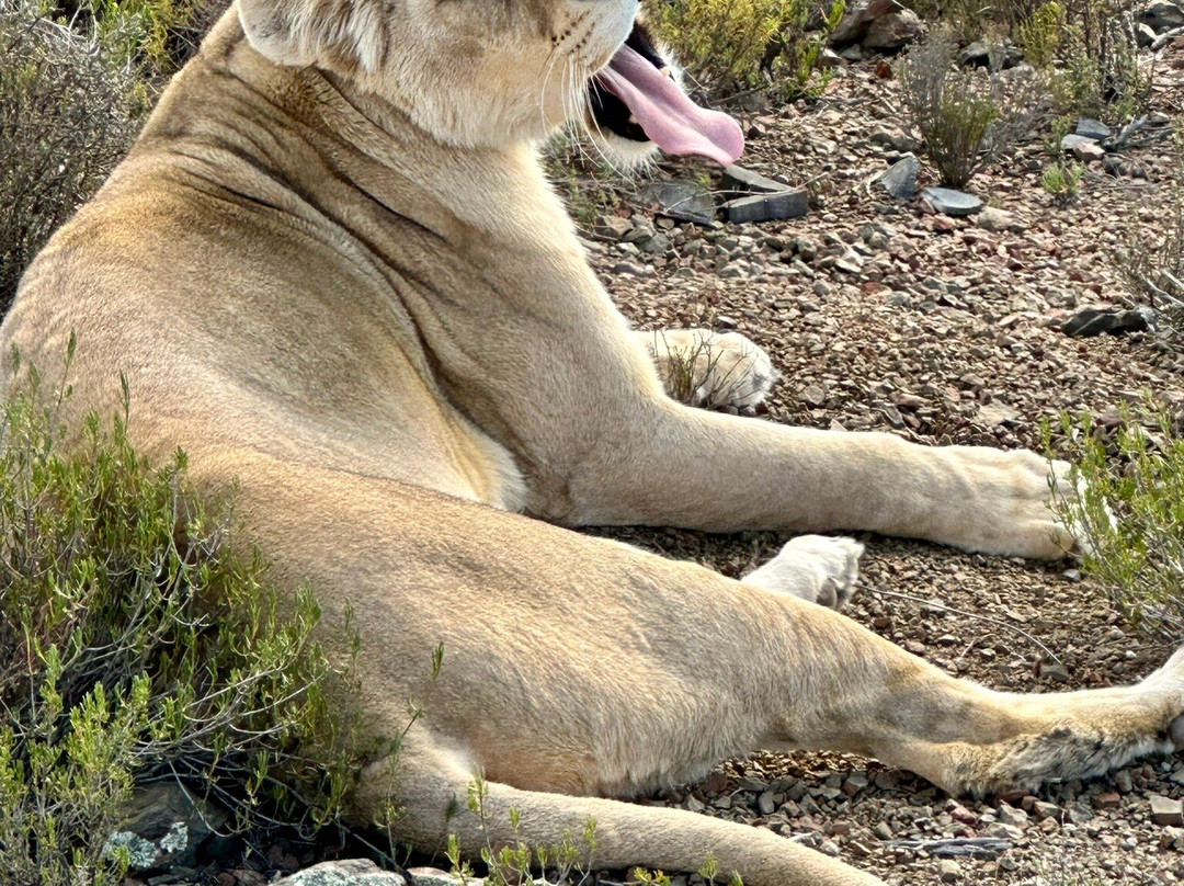 Mont Eco Game Reserve主图