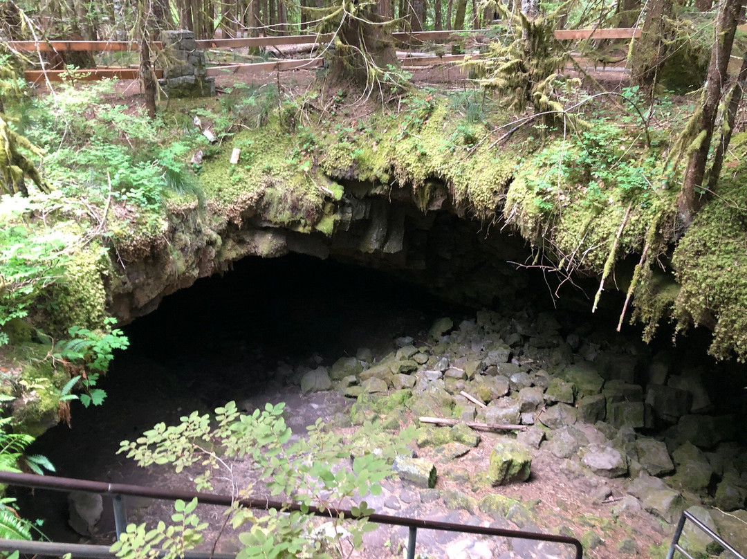 Ape Cave Lava Tubes-长景市必去景点