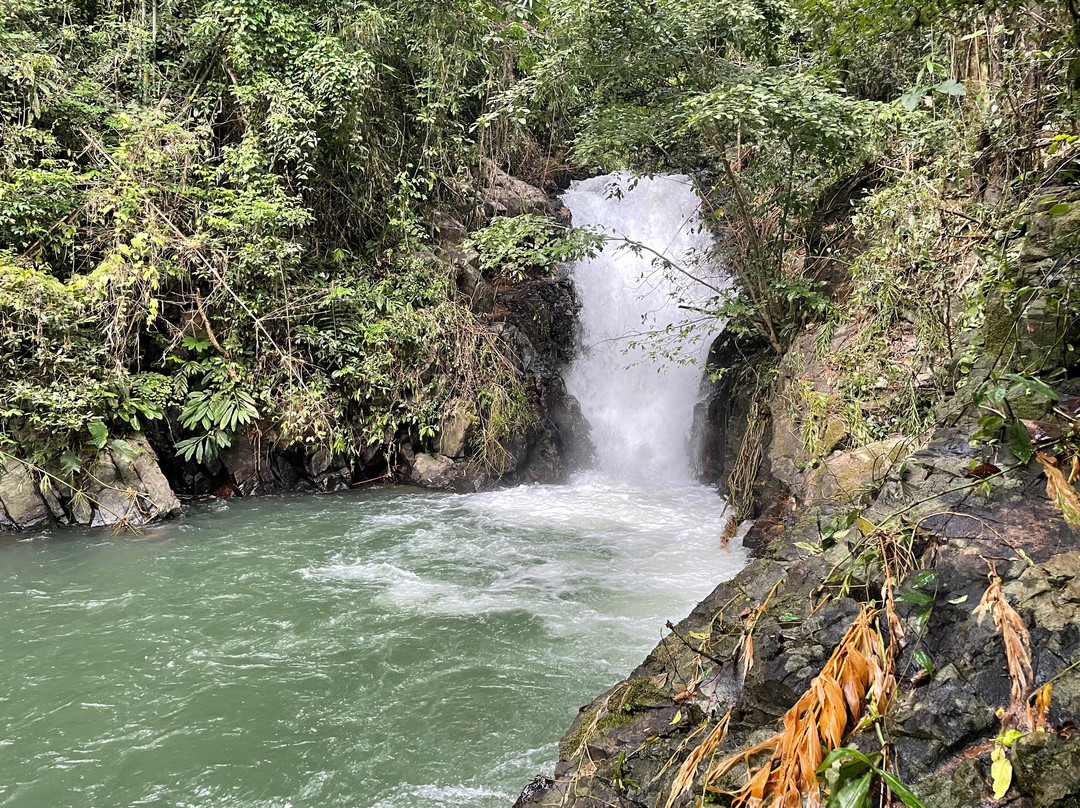 Parrot Tours-邦隆必去景点