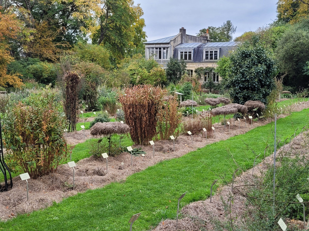 Caen Botanical Garden-卡昂必去景点