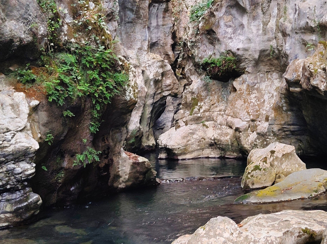 Oasi WWF Grotte del Bussento-Morigerati必去景点