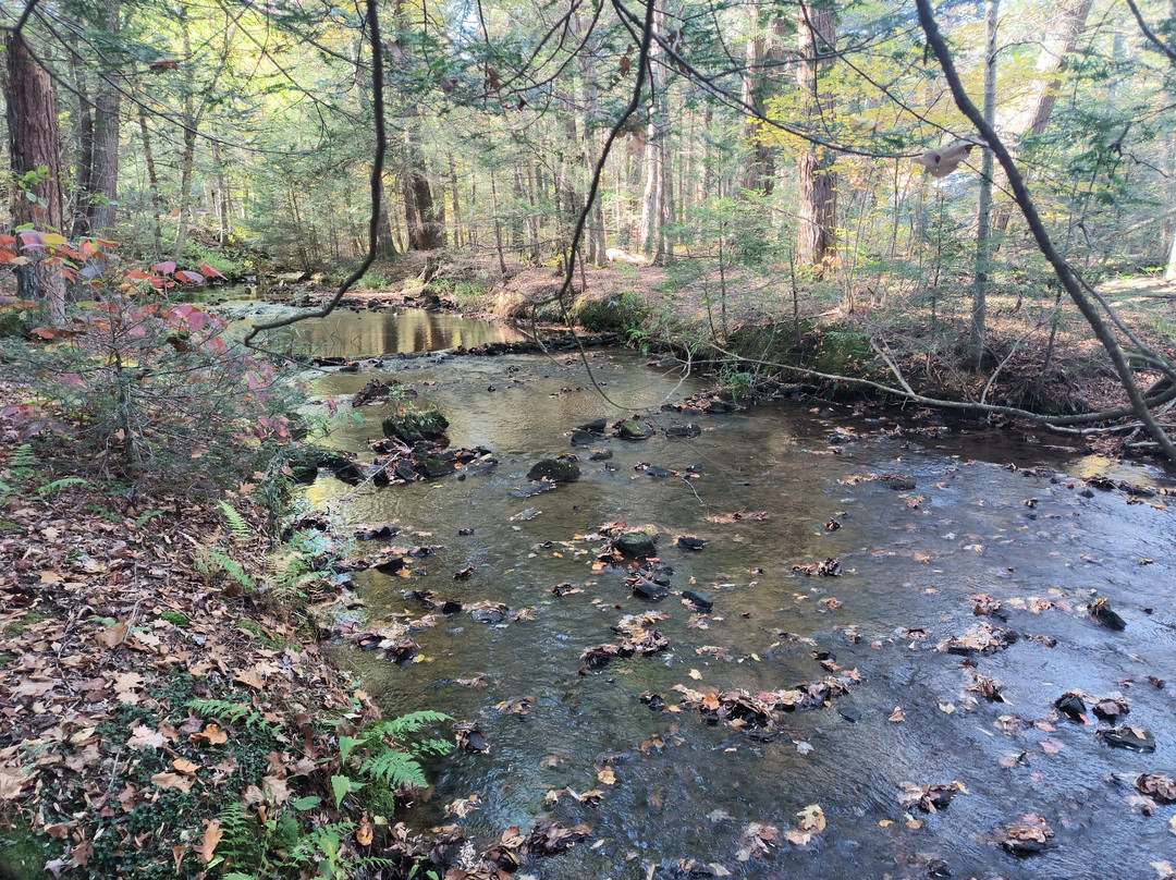 Kooser State park-萨默塞特必去景点