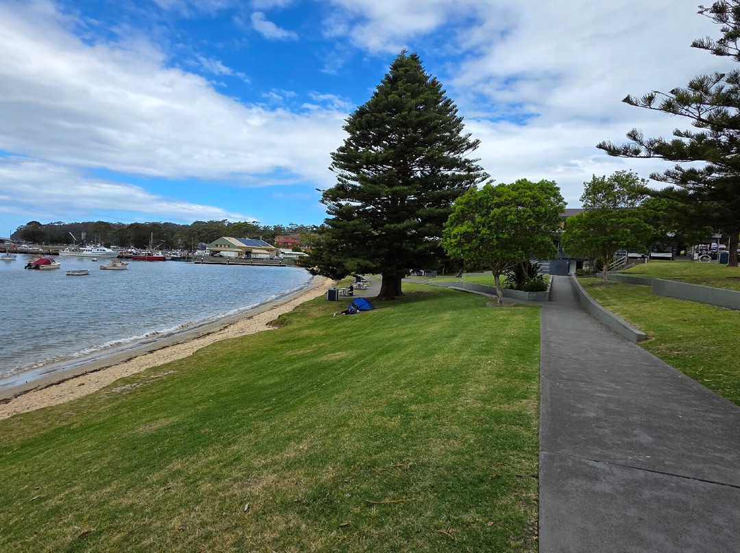 Ulladulla Harbour-阿勒达拉必去景点
