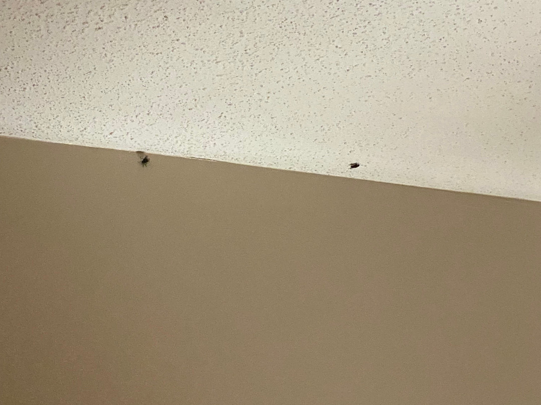 The Lucerne Inn主图