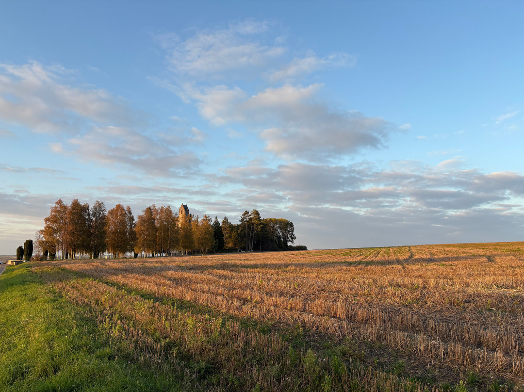 Ulster Memorial Tower & Thiepval Wood-Thiepval必去景点