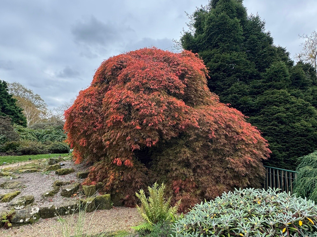Wakehurst-Haywards Heath必去景点