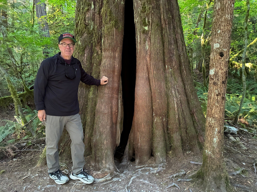 North Cascades National Park-North Cascades National Park必去景点