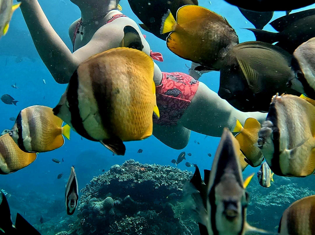 Blue Lagoon Activities Ceningan-努沙切宁安岛必去景点