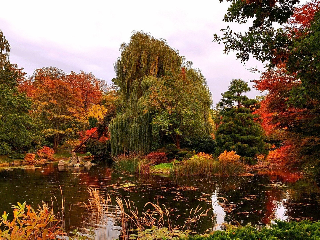 Japanese Garden - Szczytnicki Park-弗罗茨瓦夫必去景点