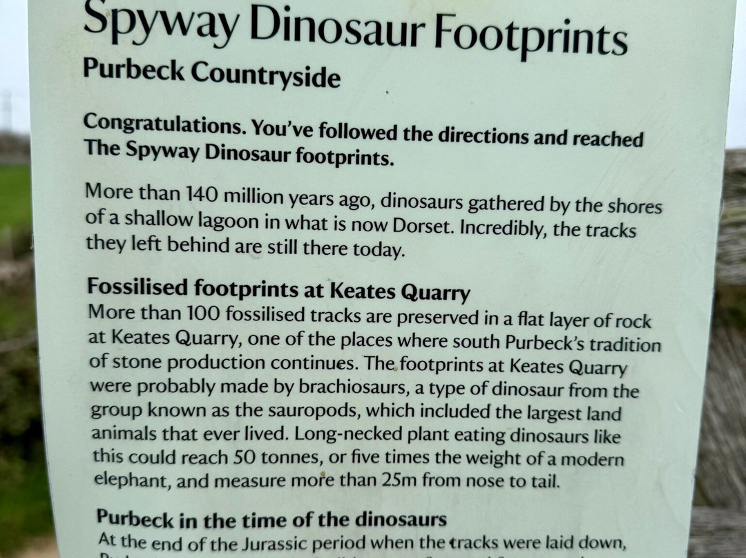 Keates Quarry Dinosaur Footprints-Langton Matravers必去景点