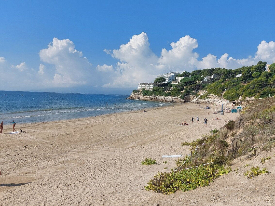 Llarga Beach-萨洛必去景点