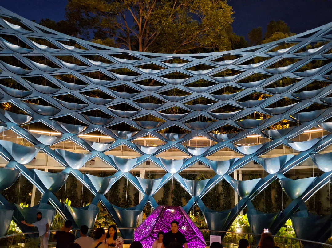 Sentosa SensoryScape-新加坡必去景点