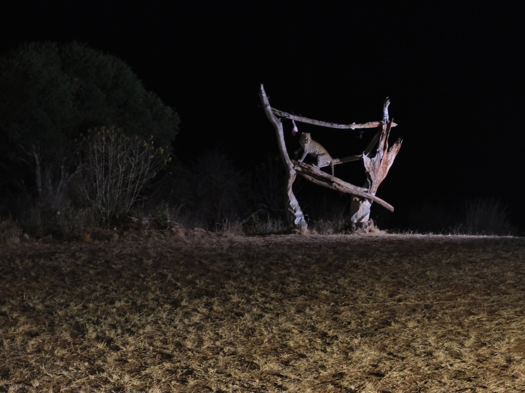 Cherish Africa Safaris-Kikuyu必去景点