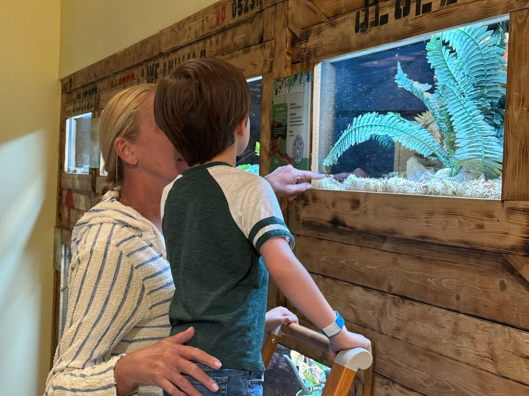 Blue Zoo Aquarium-西得梅因必去景点