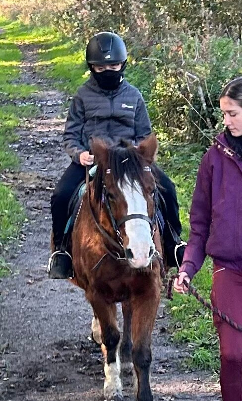 Bridlewood Riding Centre-Gwespyr必去景点