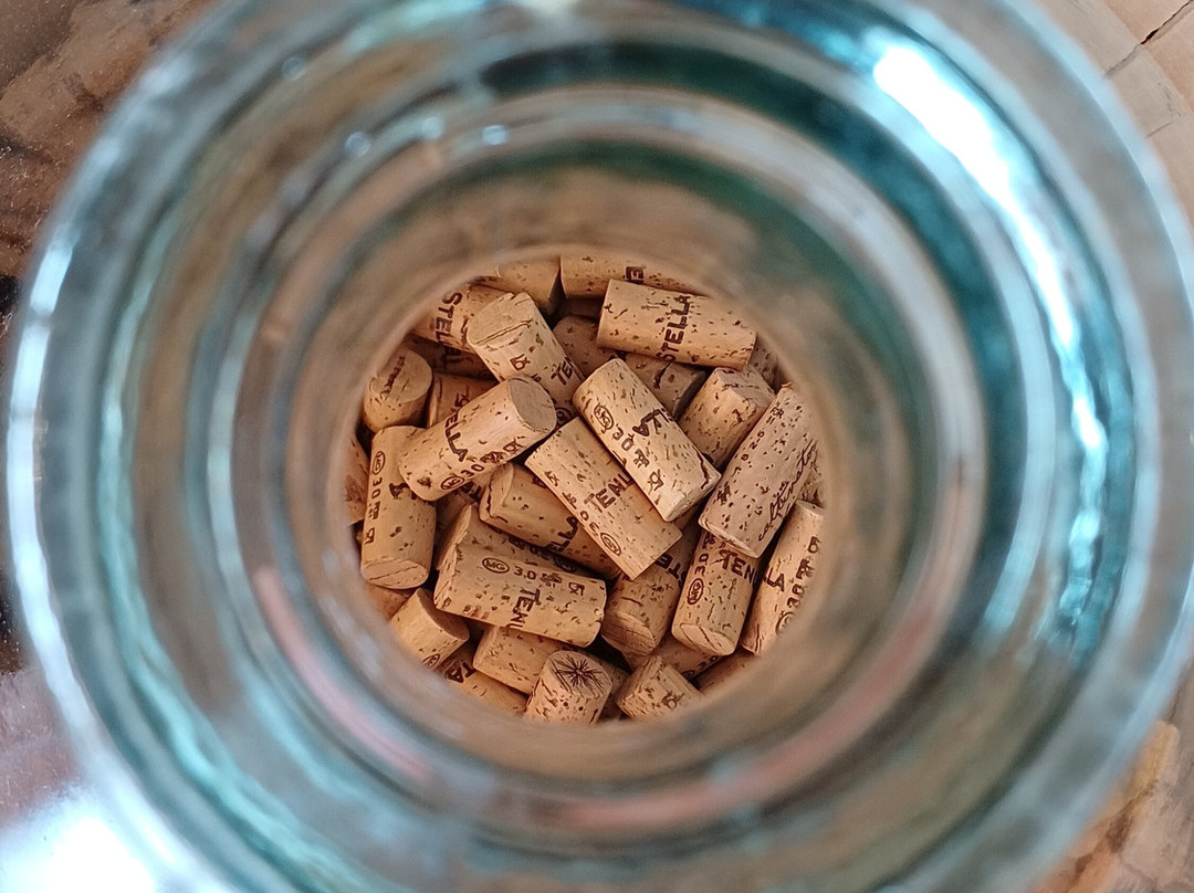 Tenuta Stella-Dolegna del Collio必去景点